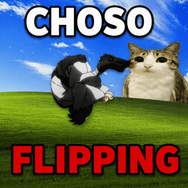 CHOSO FLIPPING EXPERIENCE