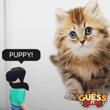 Guess It Images