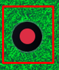 RS26 red button