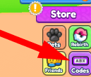 The Codes button in Surf Race