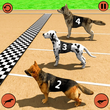 Pet Race